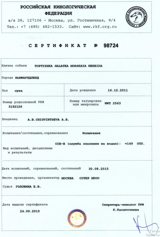 Фото: ньюфаундленд Топтыжка Галатея Морская Нереида (Toptyzhka Galatea Morskaya Nereida)