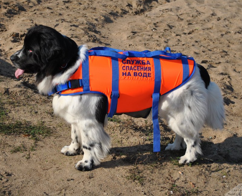 Фотография № 192153