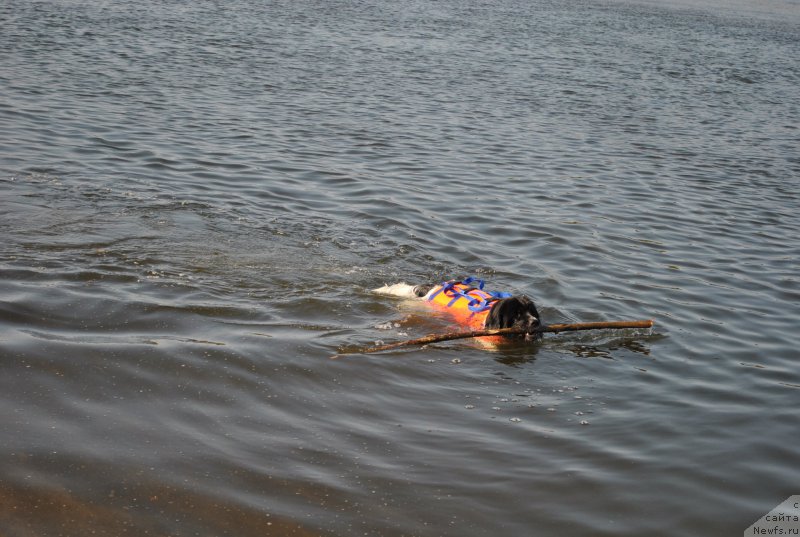 Фотография № 192154