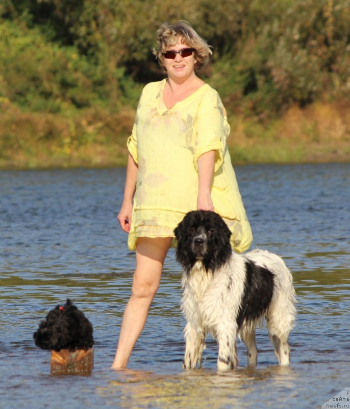 Фотография № 192157