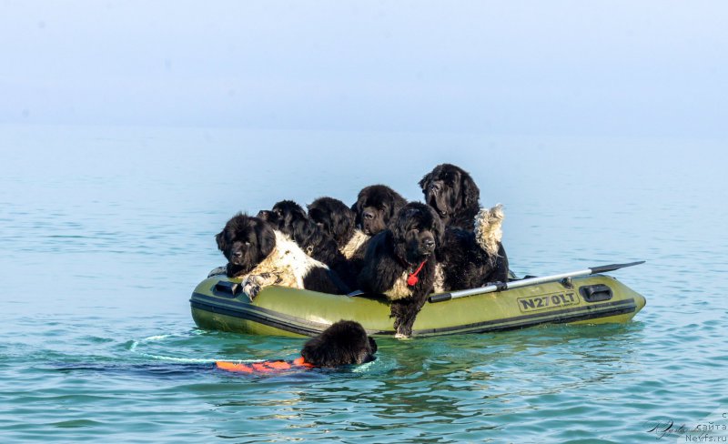 Фотография № 192163