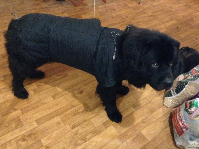 Фотография № 192167