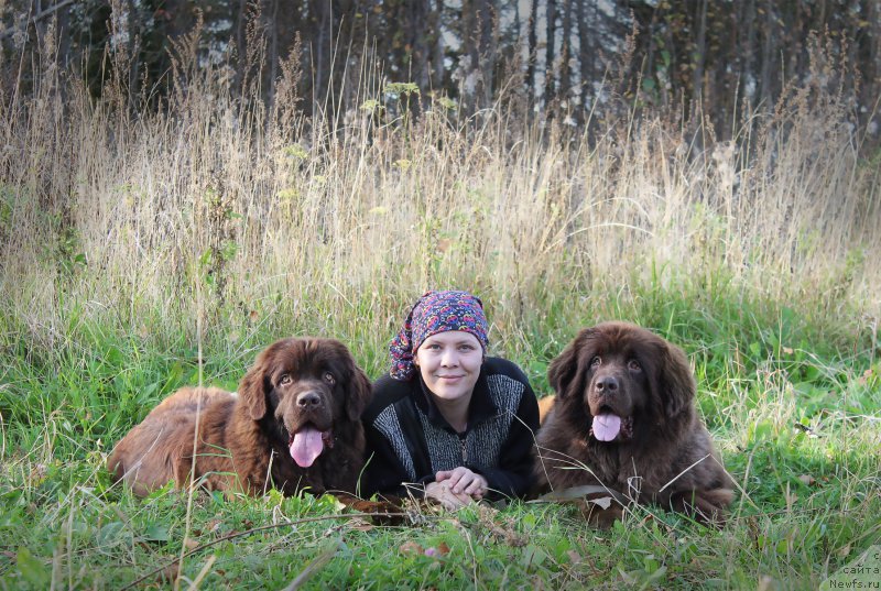 Фото: ньюфаундленд Наоми Таголири фор Браунблад (Naomi Tagoliri for Brouwnblood), ньюфаундленд Сверкающая Гора Машаме (Sverkayuzhaya Gora Mashame)