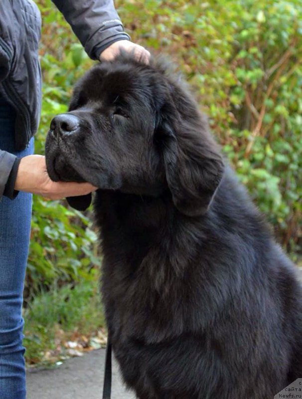 Фотография № 192203