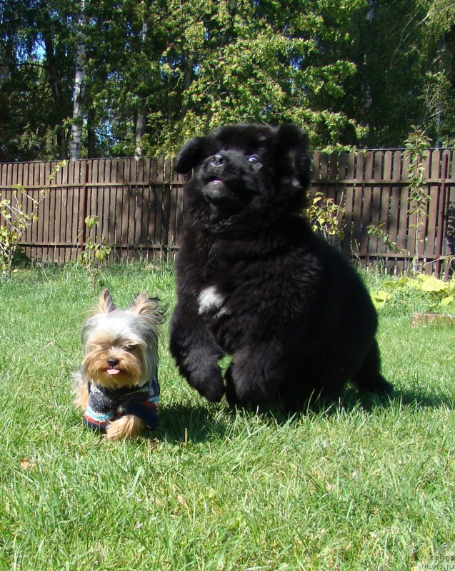 Фотография № 192205