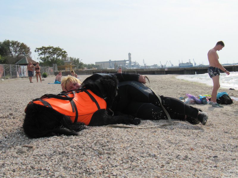 Фотография № 192206