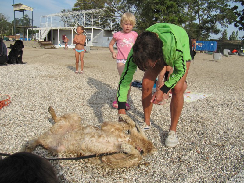 Фотография № 192209