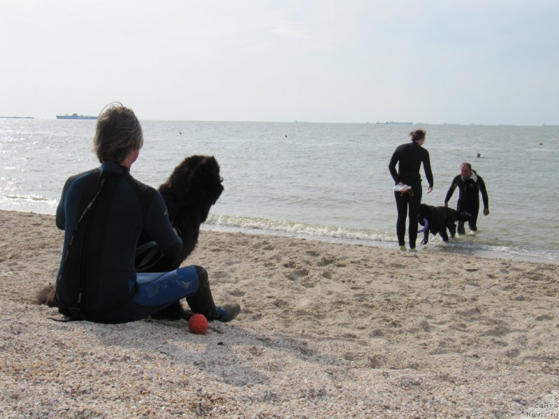 Фотография № 192212