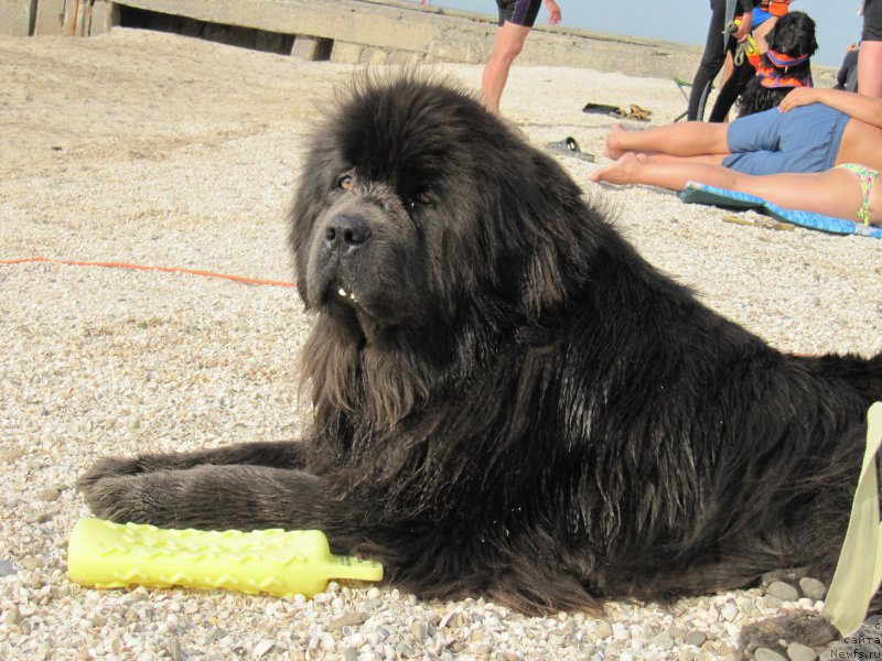 Фотография № 192213