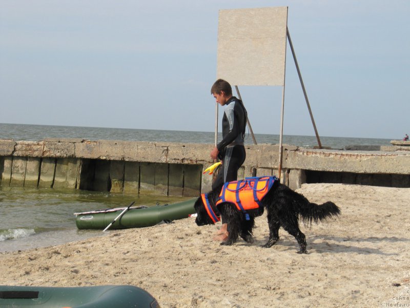 Фотография № 192216