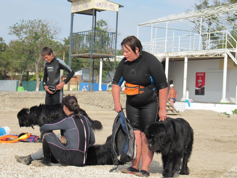 Фотография № 192219