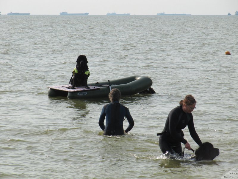 Фотография № 192224