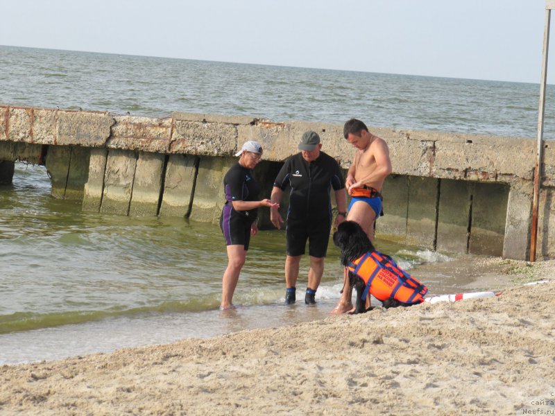 Фотография № 192228