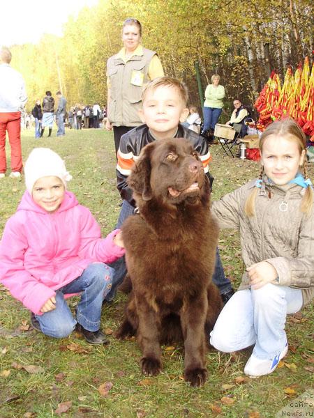 Фотография № 19223