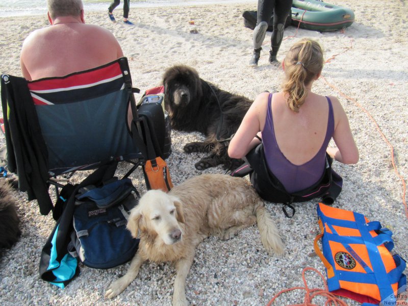 Фотография № 192232