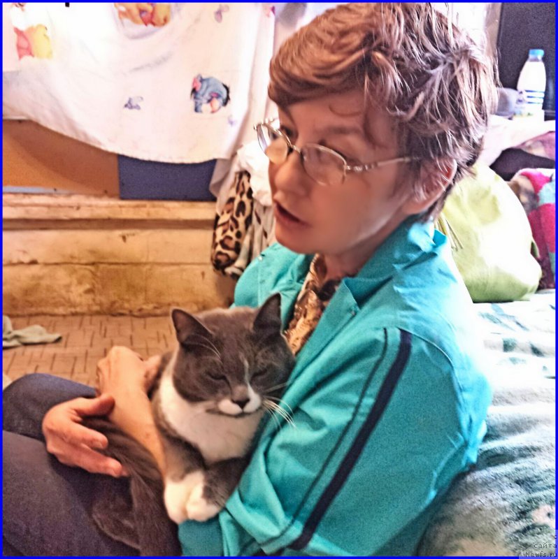 Фотография № 192236