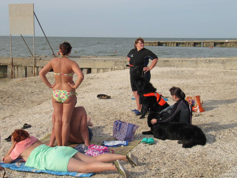 Фотография № 192237