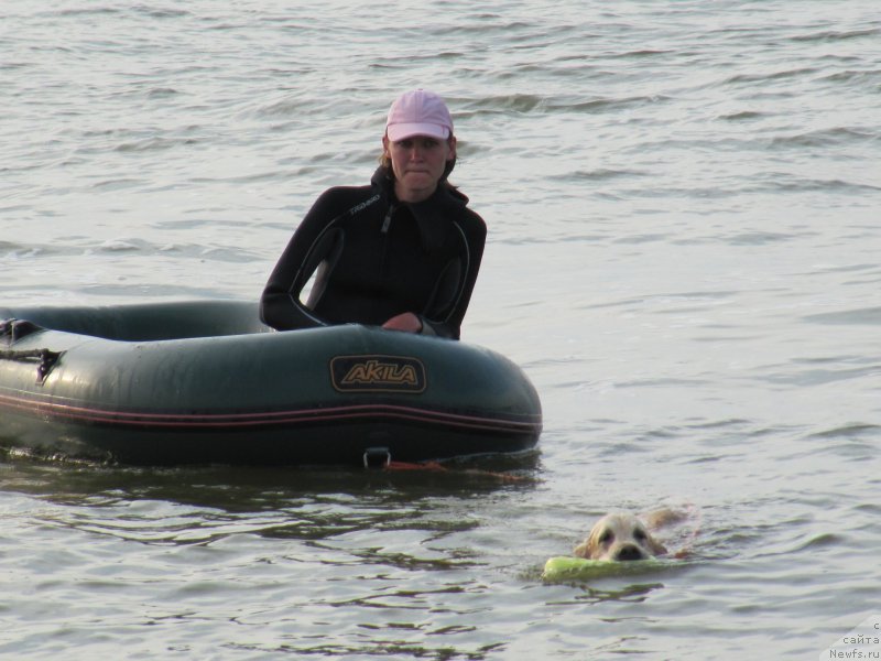 Фотография № 192238