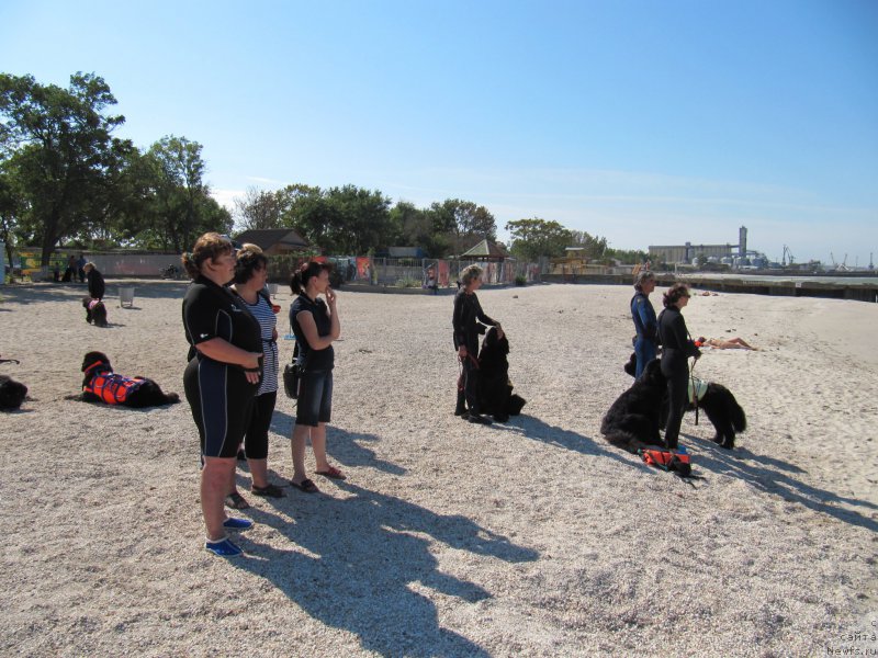 Фотография № 192247