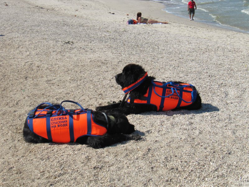 Фотография № 192249