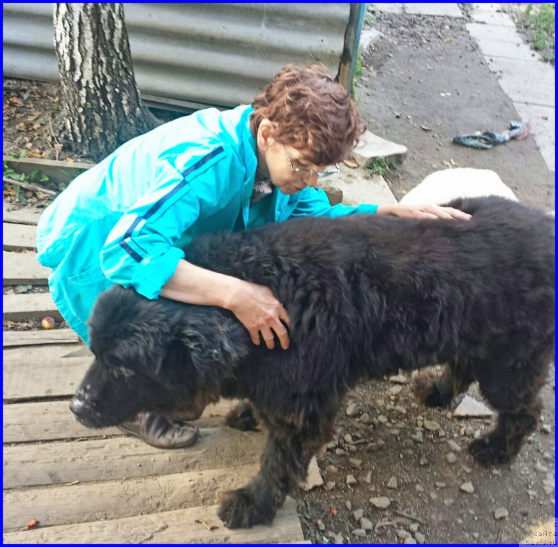 Фотография № 192254