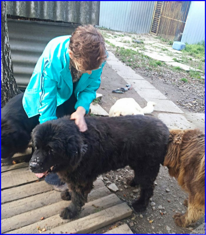 Фотография № 192255