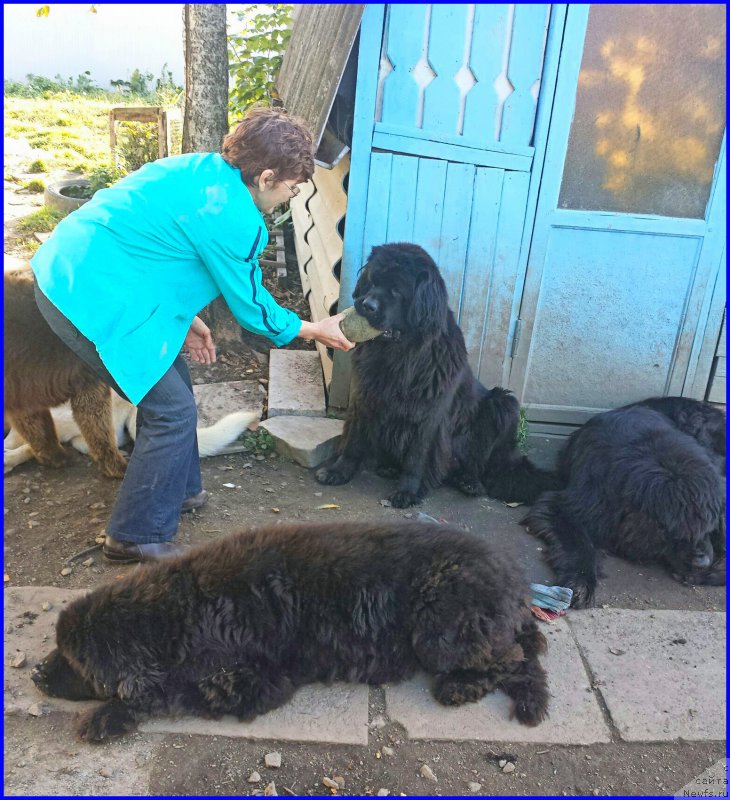 Фотография № 192256