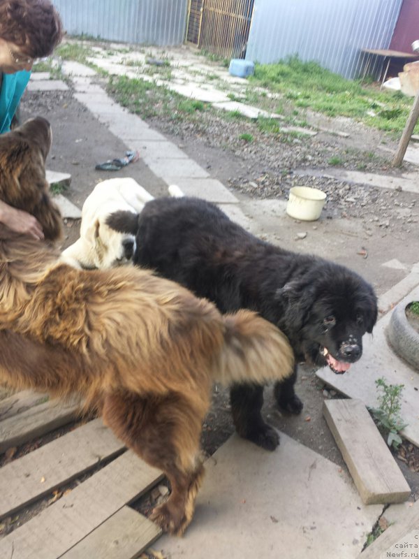 Фотография № 192257