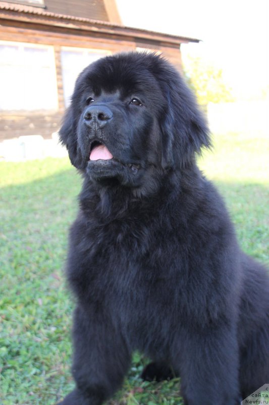 Фото: Наталья Смазчикова