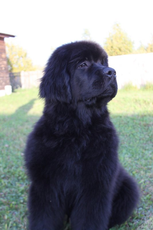 Фото: Наталья Смазчикова