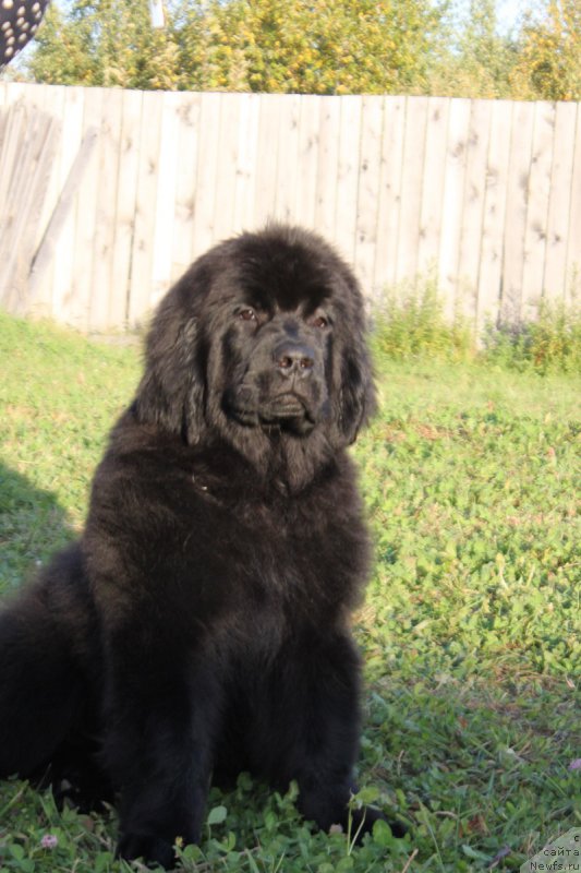 Фото: Наталья Смазчикова