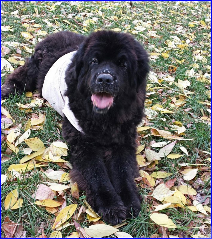 Фотография № 192267