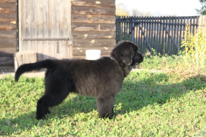 Фото: Наталья Смазчикова