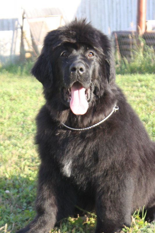 Фото: Наталья Смазчикова