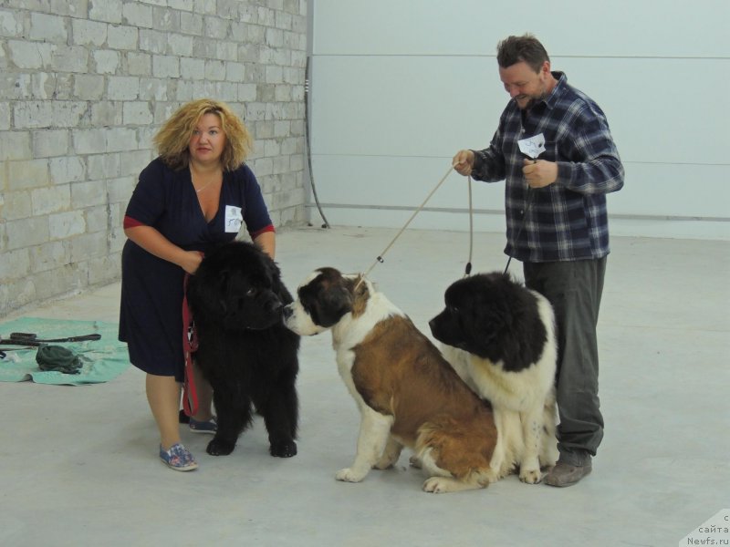 Фотография № 192279