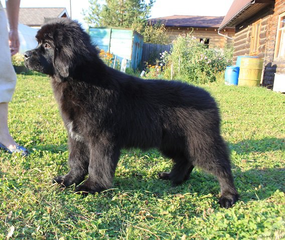 Фото: Наталья Смазчикова