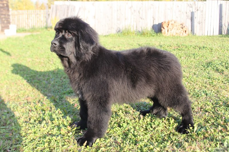 Фото: Наталья Смазчикова