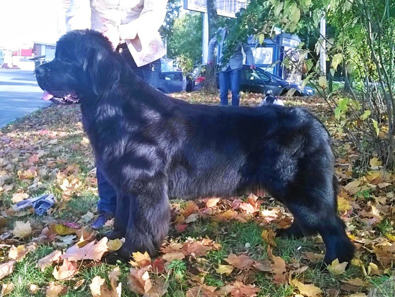 Фотография № 192291