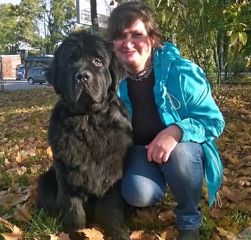 Фотография № 192292