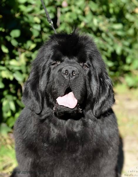 Фотография № 192303