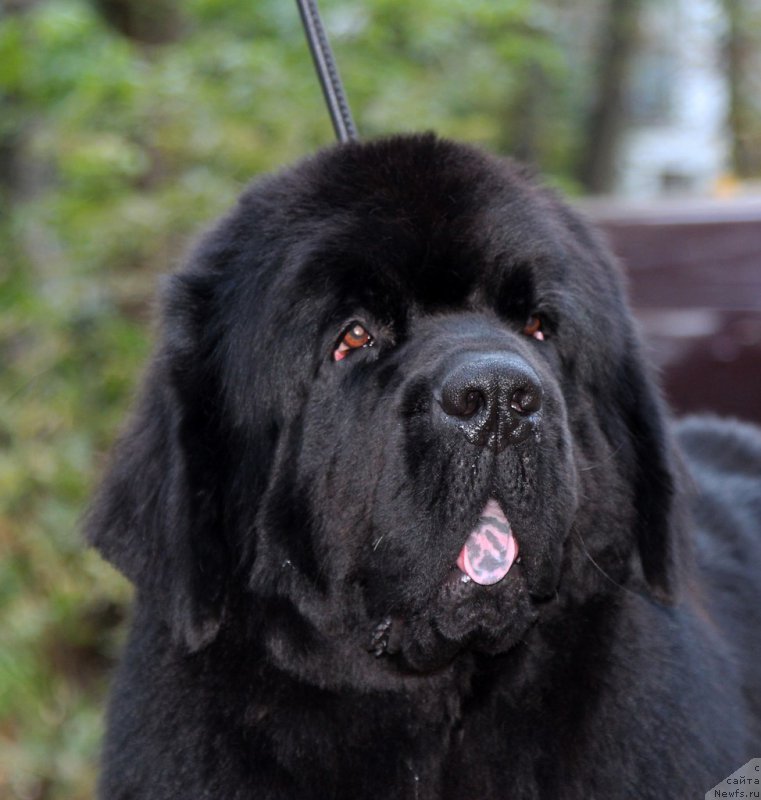 Фотография № 192309