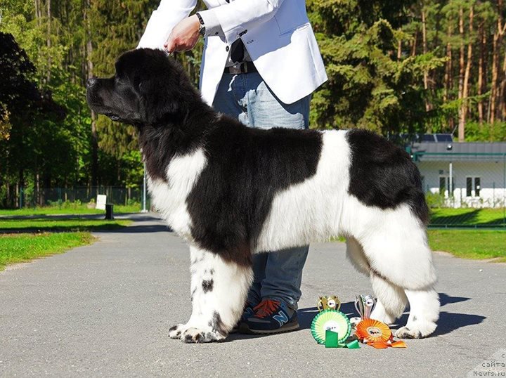 Фотография № 192312