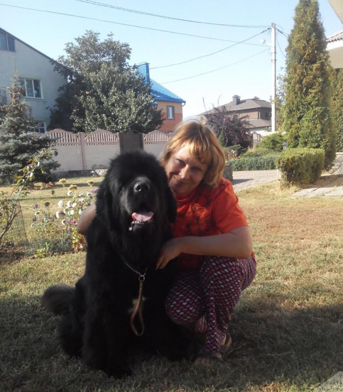 Фото: ньюфаундленд Бегущая по Волнам Регатта Катти Сарк, Наталья Федосова