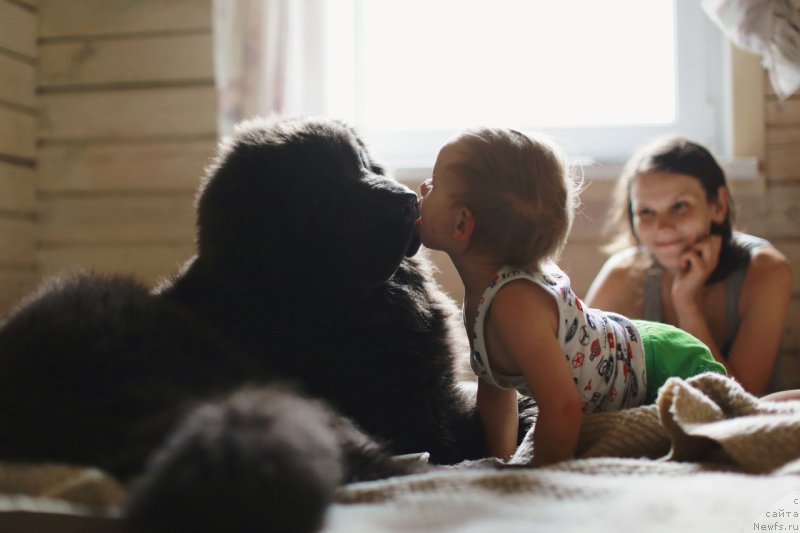 Фотография № 192317