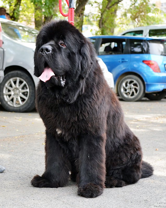 Фотография № 192318