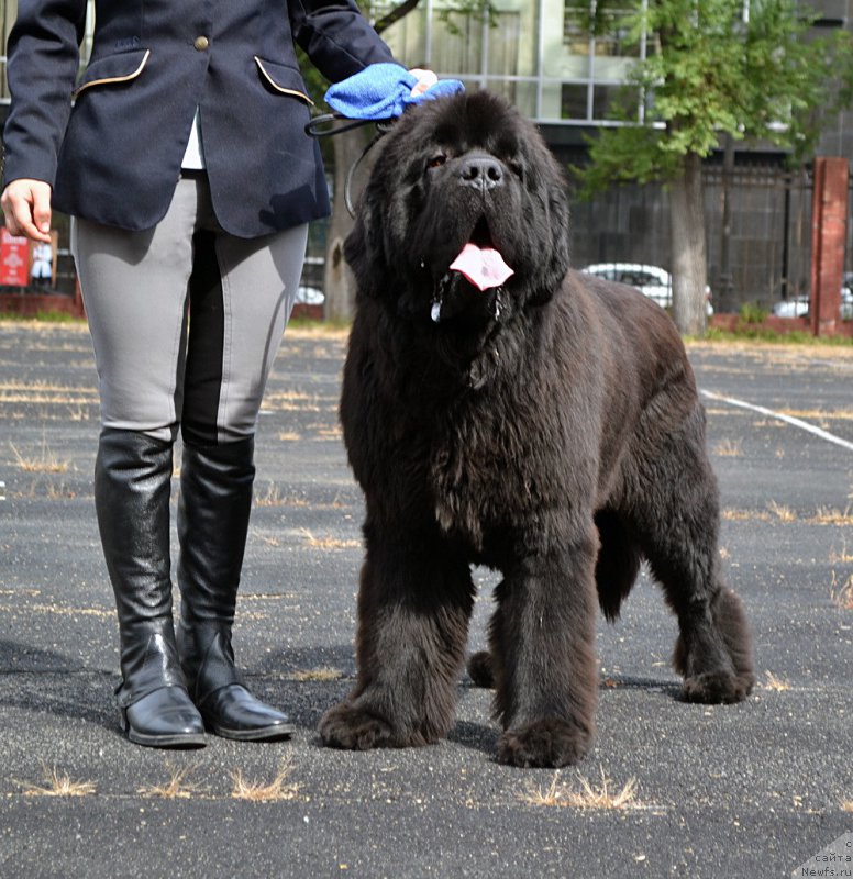 Фотография № 192319