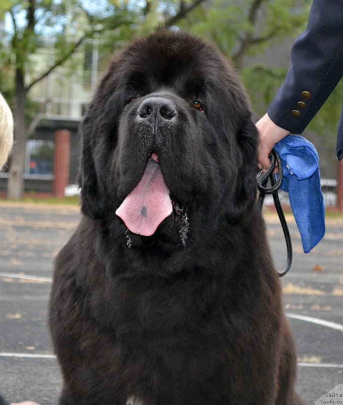 Фотография № 192321