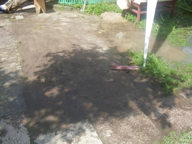 Фотография № 19234