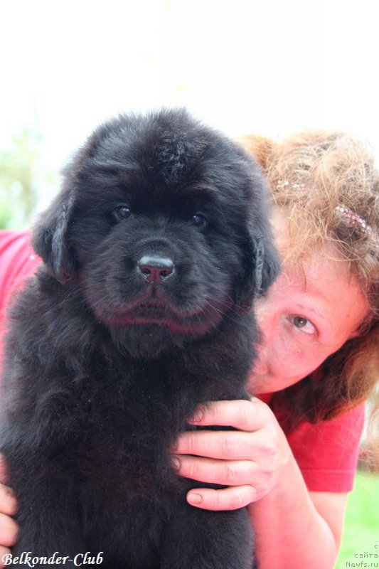 Фотография № 192342