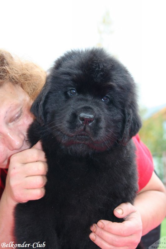 Фотография № 192345